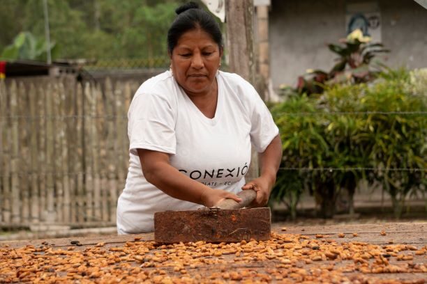 Unser Cacao aus Ecuador