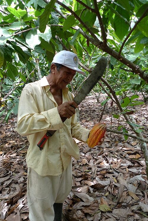 NEU! Unser Cacao aus Peru